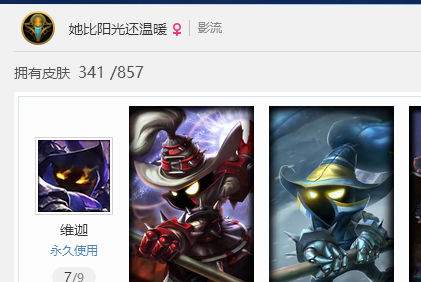 影流-她比阳光还温暖—【影流】角色等级357 英雄数量161 皮肤数量309 黄金框